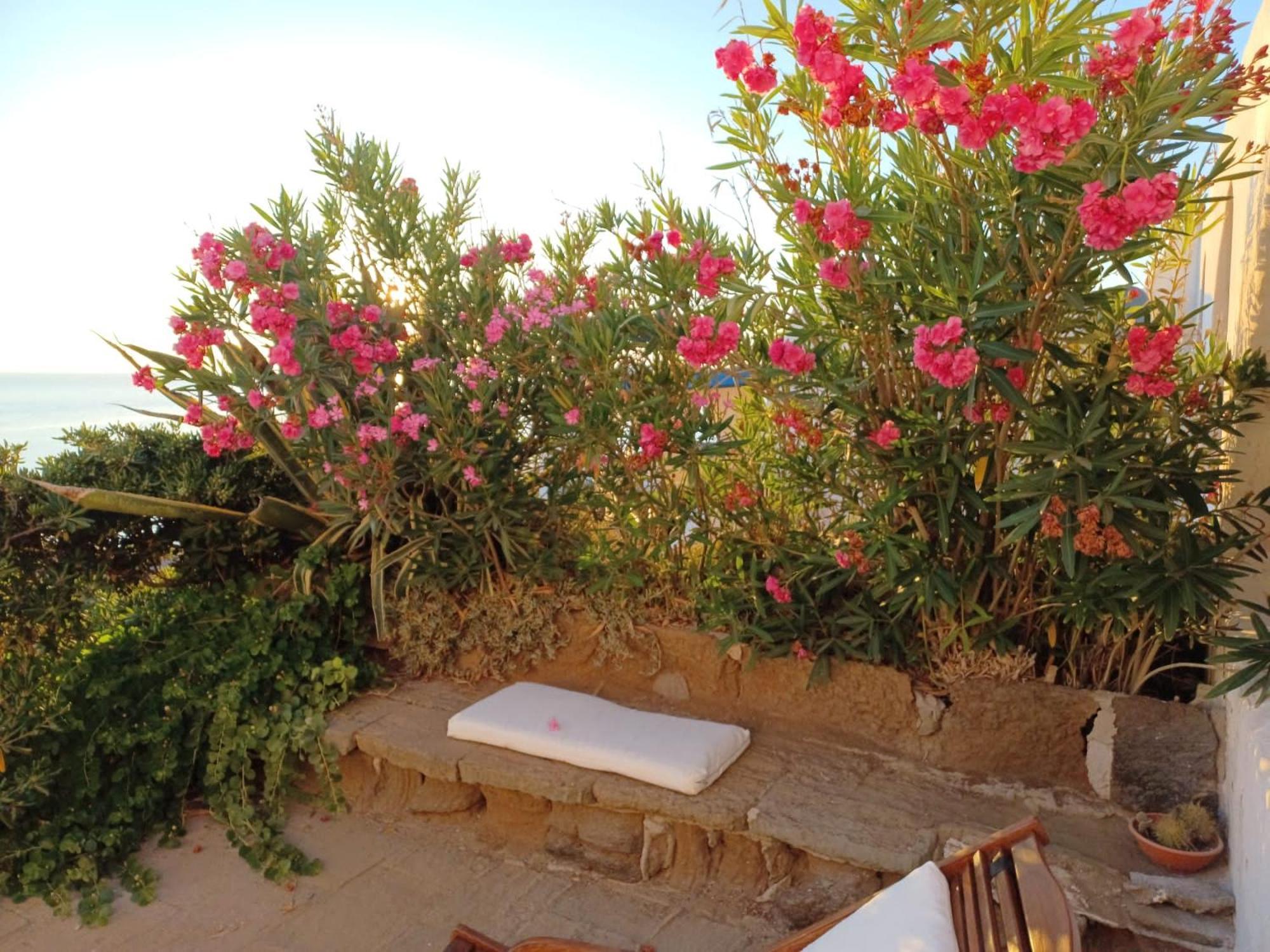 Pantelleria Punta Tre Pietre 33 Villa Exterior photo